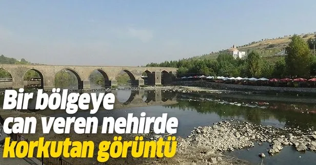 Dicle Nehri kenarında korkutan görüntü: Binlerce balık telef oldu