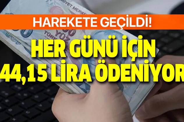 Harekete geçildi! Günlük 44,15 lira hesaplara ödeniyor! Başvuru için son 5 gün...