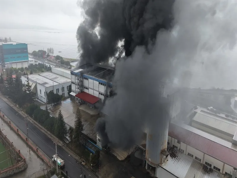 son-dakika-trabzonda-findik-fabrikasinda-yangin-1774453353763.jpeg Son dakika: Trabzon'da fındık fabrikasında yangın-3