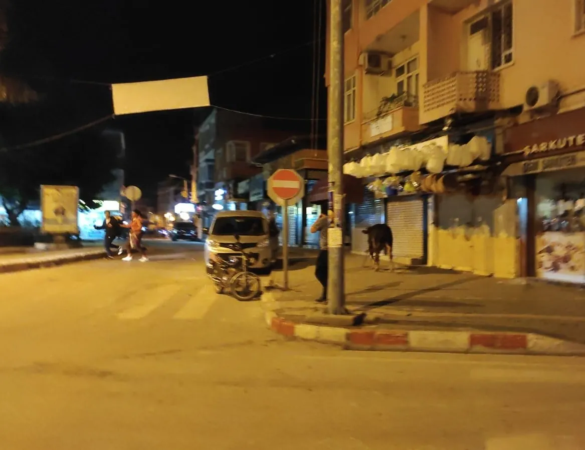 Kaçan dana ortalığı karıştırdı