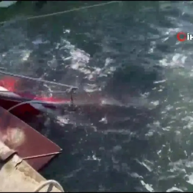 Karadeniz'de fırtına: Samsun'da 3 tekne battı