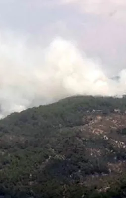 Türkiye'nin ciğerleri Kazdağları'nda yangın