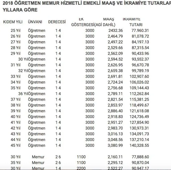 3600 ek gösterge sonrası hemşire maaşı ne kadar olacak? Emekli hemşire maaşları kaç lira olacak?-2