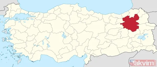 Erzurum'da yetişiyor! Dünya mutfağının gözdesi 500 TL'den satılıyor - 9