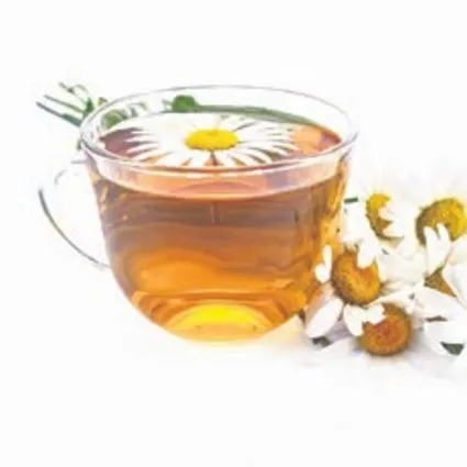 Dişlere papatya çayı