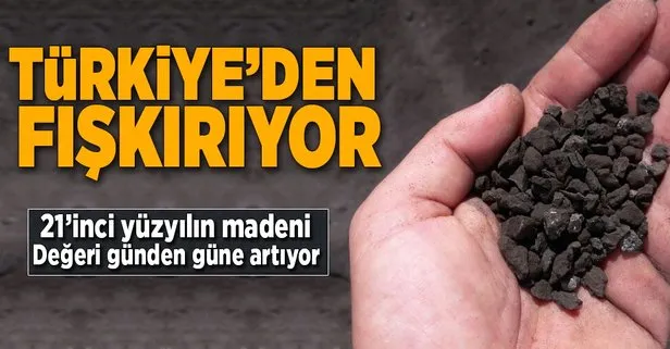 Yüzyılın madeni Leonardit’in kaynağı Türkiye!