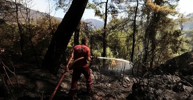 Emniyet Genel Müdürlüğü ve Jandarma Genel Komutanlığı orman yangınlarını araştırmak için özel ekip kurdu