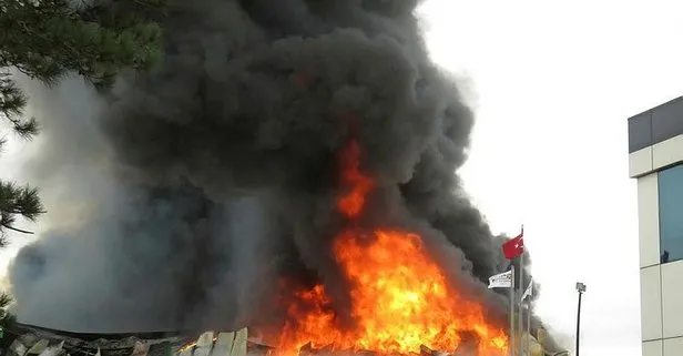 SON DAKİKA: Şile’de fabrika yangını kontrol altına alındı