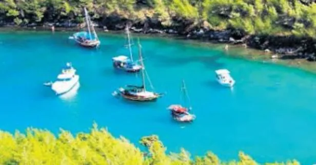 Bodrum'da 250 bin TL'lik tonoz çalındı