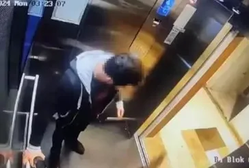 Asansördeki hayvan | Yavru kediyi tekmeleyerek öldüren şahıs serbest kaldı