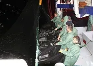 Son dakika: Hamsinin boy yasağı kalktı: Karadenizde tedbirli av yeniden başladı