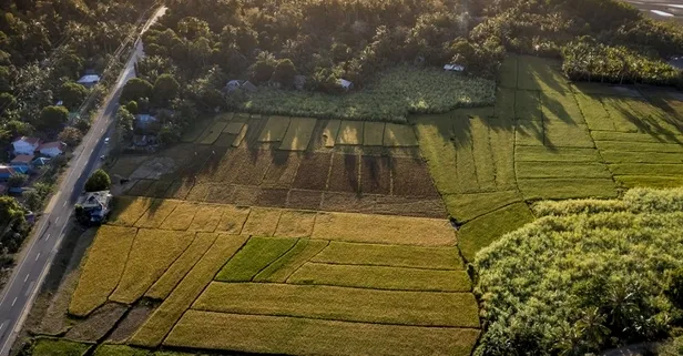 Milli Emlak'tan 24 ay taksitle satılık ucuz arsa ilanları yayımlandı! Mersin'de 264 m2 arazi 43 bin TL!