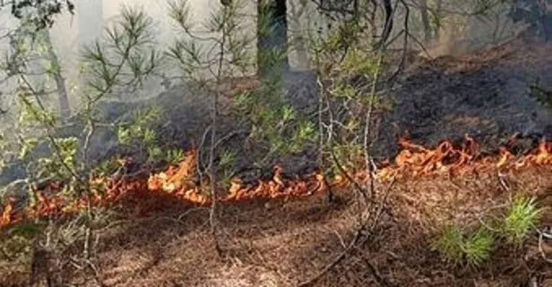 Adana’nın Kozan ve Feke ilçelerinde orman yangını! Ekiplerin çalışması devam ediyor