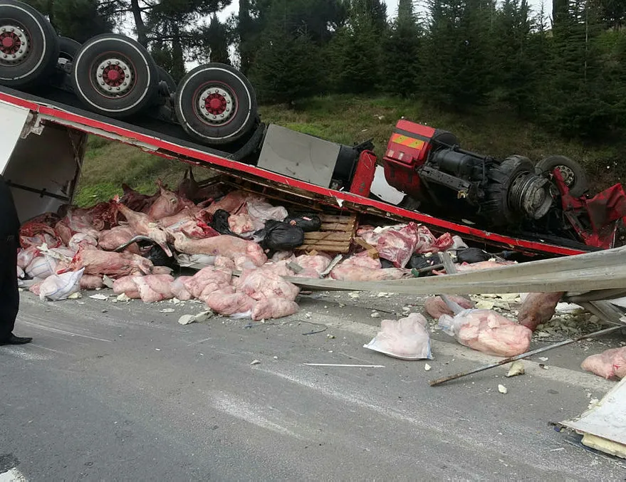 TEM’de feci kaza! Et yüklü tır takla attı!