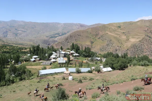 Hakkari'de berivanlar her gün süt sağmak için at sırtında 10 kilometre yolculuk yapıyor - 5