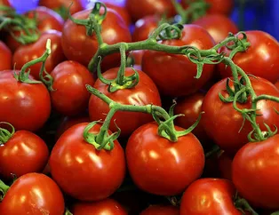 Domatesin bu faydasına çok şaşıracaksınız! İşte softaların vazgeçilmezi domatesin besin değeri ve yan etkileri...