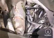 İBB AK Parti Grup Başkanı Tevfik Göksu göldeki rezaleti paylaşıp çağrı yaptı: İBB’nin bir cevabı yok mu?