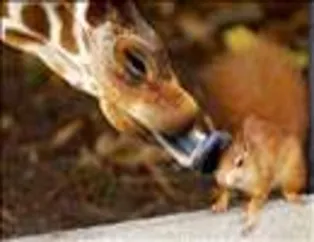 İnternetin ilginç fotoğrafları-1