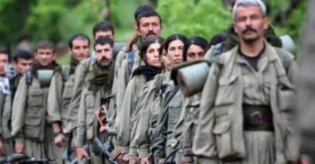 ABD'den kritik terör örgütü PKK açıklaması