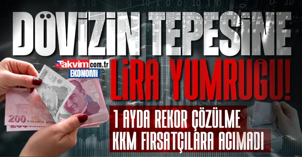 Türkiye Ekonomi Modeli liraya güveni artırdı: Döviz hesaplarında 1 ayda 10.5 milyar dolar çözülme