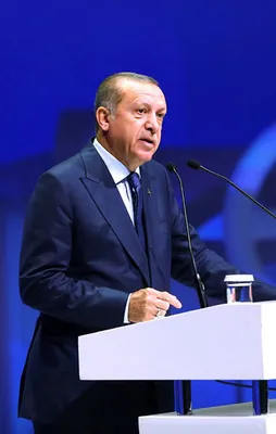 Erdoğan'dan kritik OHAL açıklaması