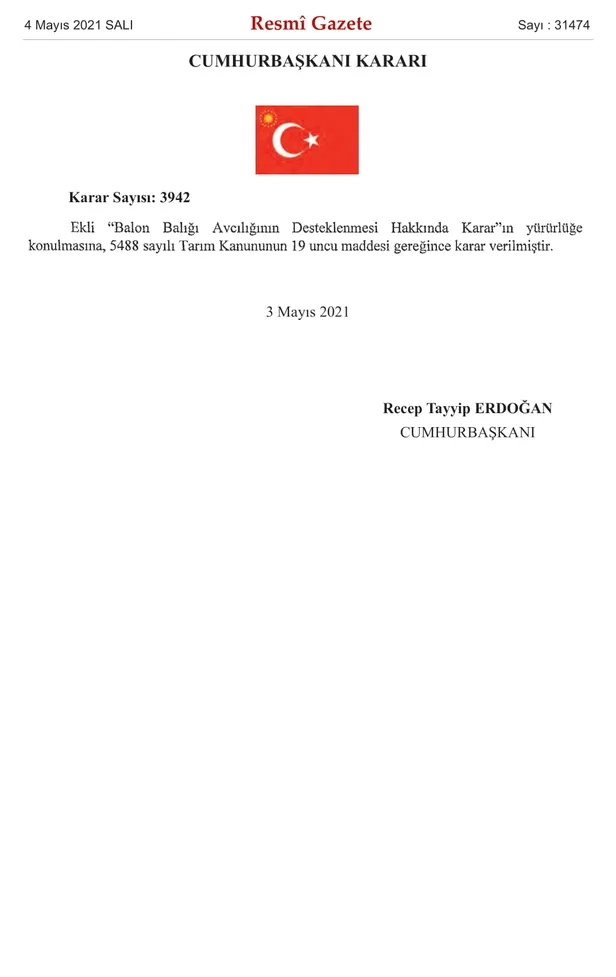 resmi-gazetede-yayimlandi-balon-baligi-avlayana-5-tl-1620078694258.jpg