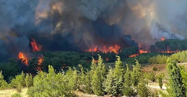 Çanakkale’de 8 günde 4 büyük yangın: 5 bin 236 hektar ormanlık alan zarar gördü