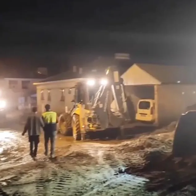 Sel onlarca hayvanı telef etti