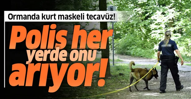 Alman polisi kurt maskeli sapığın peşinde!