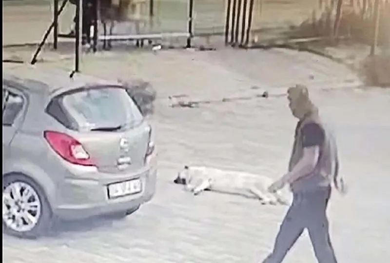 ’Hayvan’ yakalandı