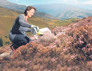 Tıbbı-aromatik bitki kazandırıyor
