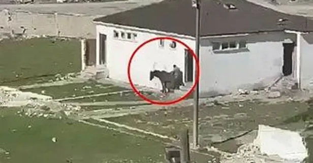 Ata cinsel taciz iddiası kamerada! "Tecavüz yok tımar yapıyordum"