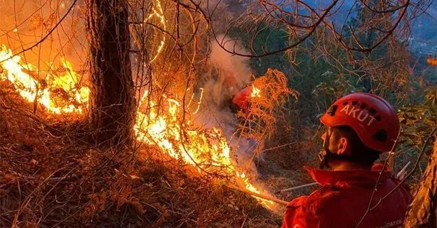 Doğu Karadeniz’de 4 ilde bulunan 23 noktada orman yangın! Ekiplerin söndürme çalışması aralıksız sürüyor