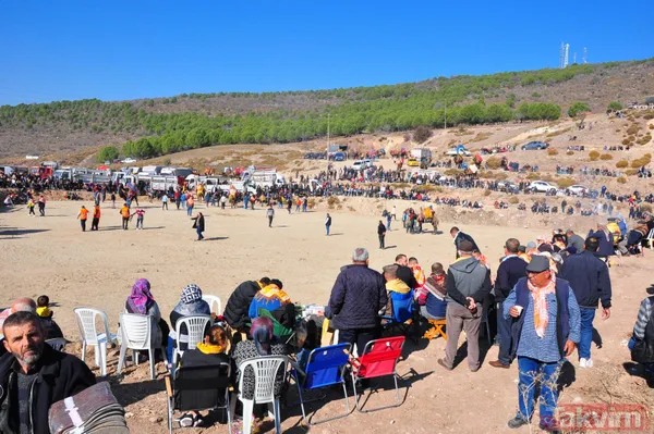 Son anda kurtuldular! Manisa'da deve güreşlerinde ezilme tehlikesi - 30