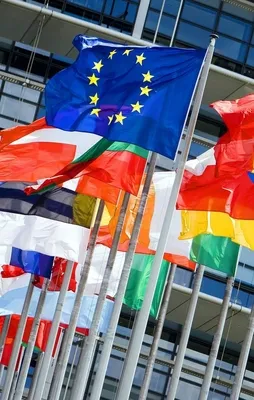 NATO'ya alternatif mi olacak?