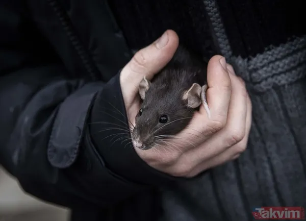 Rusya Ukrayna savaşında son durum! Kiev yakınlarındaki İrpin'de siviller çatışma arasında tahliye edilmeye çalışılıyor - 17