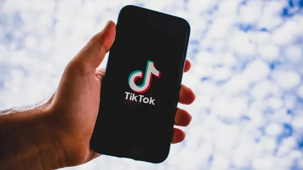 Kimi soyunuyor kimi nefesini tutuyor, kimi ise resmen dileniyor: TikTok’da rezillik sınır tanımıyor-10