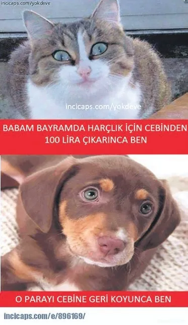 her-bayram-yasanmasina-engel-olunamayan-geleneksel-durumlar-1780018014815.jpeg