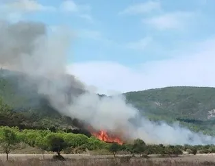 Çanakkale’de orman yangını