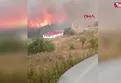 Bolu'da orman yangını