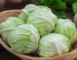 Güzellik sırrı lahana