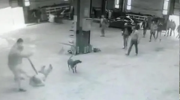 İstanbul Arnavutköy'de filmleri aratmayan baskın!-1