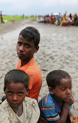 10 günde 73 bin mülteci