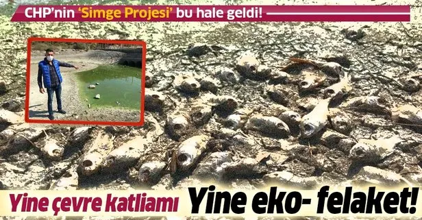 İzmir’in ’Simge projesi’ denmişti! Göletlerde balıklar, kirlilik nedeniyle öldü