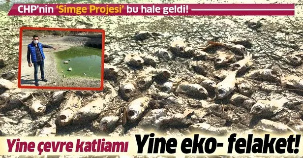 takvim gazetesi