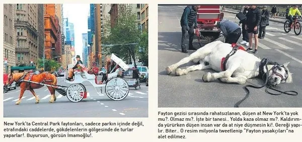 sabah-yazari-hincal-uluctan-imamoglu-ve-soyere-sert-elestiri-kalibinin-adami-olamayanlar-1577263064505.jpeg Sabah yazarı Hıncal Uluç'tan İmamoğlu ve Soyer'e sert eleştiri: Kalıplarının adamı olamayanlar...-2