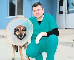 Sokak köpeğine dost eli