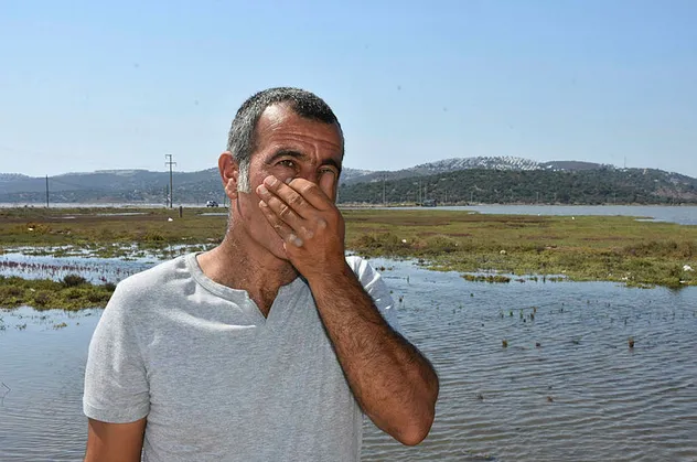 Flamingo Cenneti'ni kokuttular! Mahalleli CHP'li belediyeye isyan bayrağını çekti