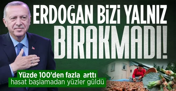 Fındık taban fiyatı üreticiyi sevindirdi: Erdoğan bizi darda bırakmadı