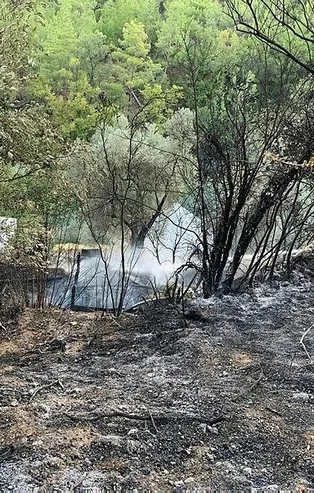 Muğla'da makilik yangını! Soruşturma başlatıldı